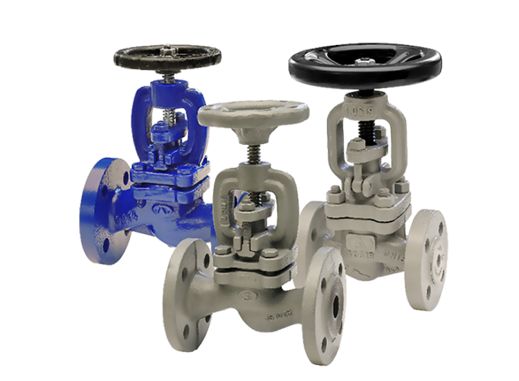 Van Cầu Gland Packing